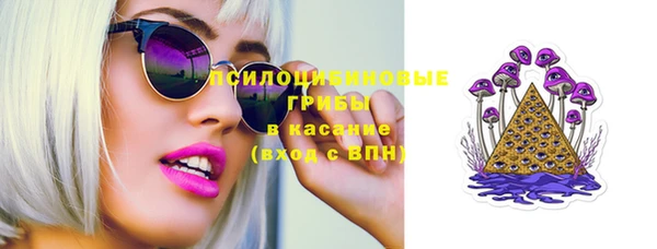 шишки Медногорск