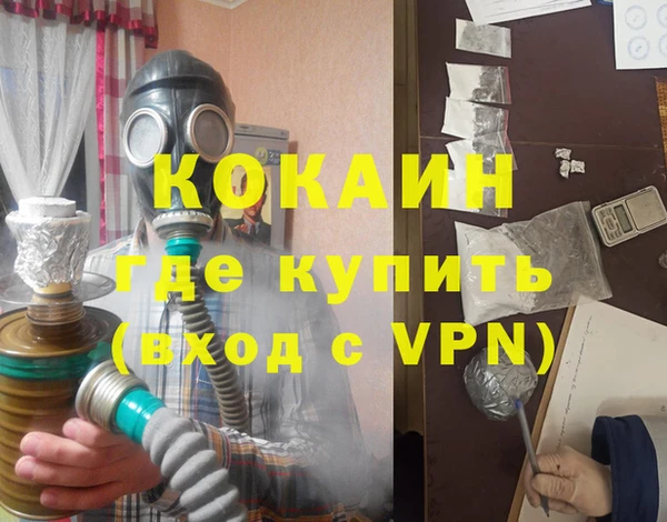 шишки Медногорск