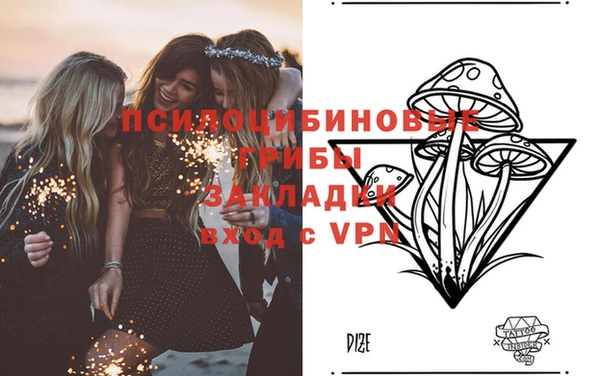 Альфа ПВП Медвежьегорск