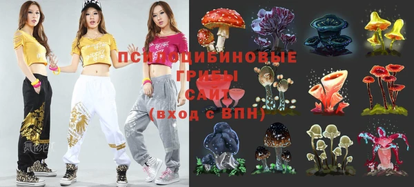 шишки Медногорск