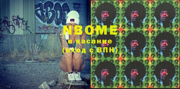 шишки Медногорск