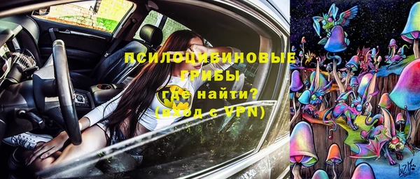 шишки Медногорск