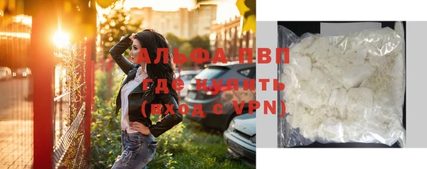 шишки Медногорск
