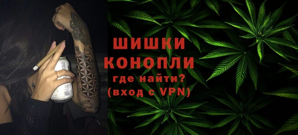 шишки Медногорск