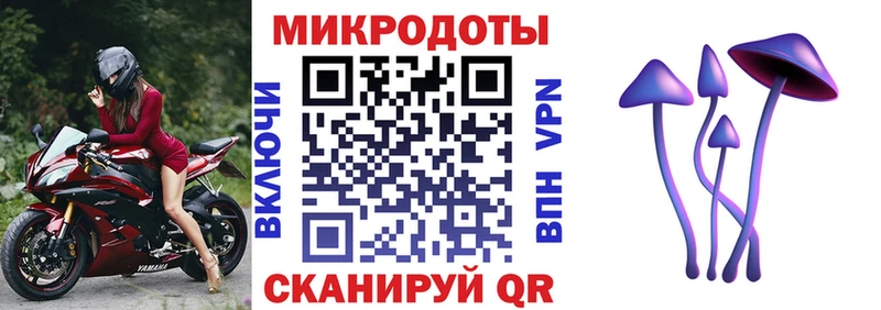 Галлюциногенные грибы Psilocybe  Медвежьегорск 